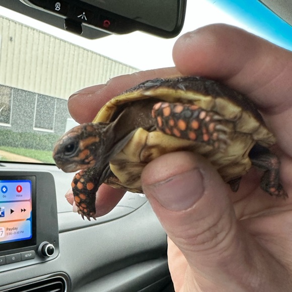 Meet your Posher, Stephanie - Picture 10 of 10